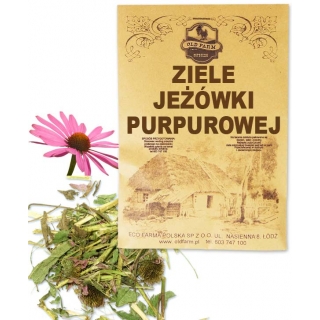 JEŹÓWKA PURPUROWA 50 G
